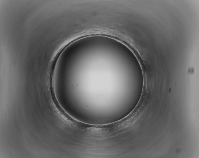 X0000097491500200802221403