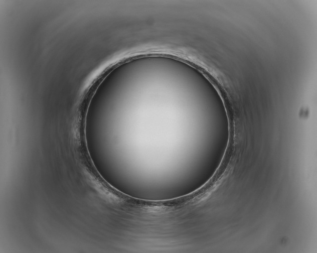X0000097491502200802221403