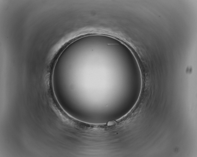X0000097491503200802221403