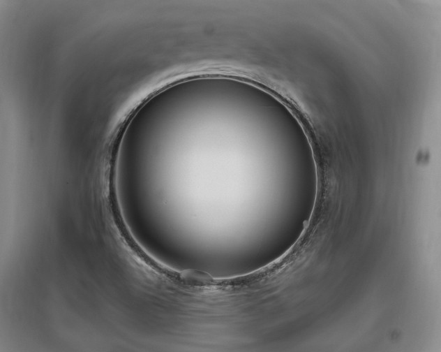 X0000097491504200802221403