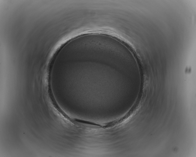 X0000097491506200802221403