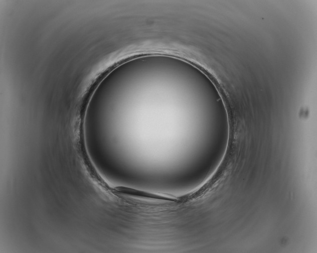 X0000097491507200802221403