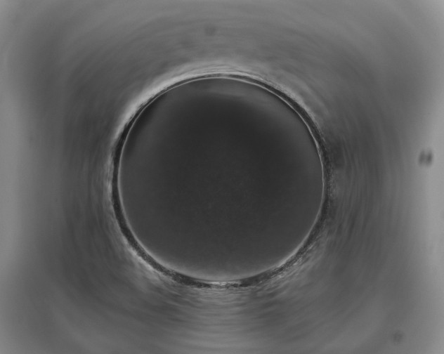 X0000097491508200802221403