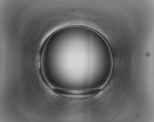X0000097491510200802221403