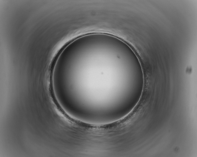 X0000097491511200802221403