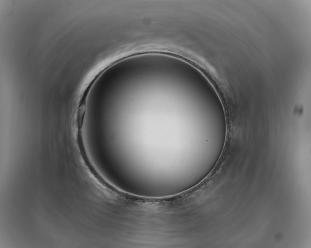 X0000097491512200802221403