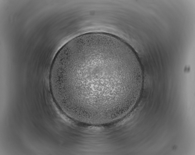 X0000097491513200802221403