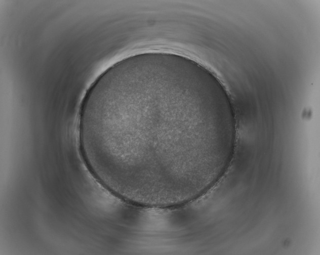 X0000097491514200802221403
