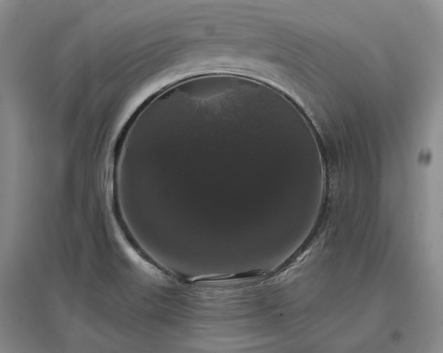 X0000097491515200802221403