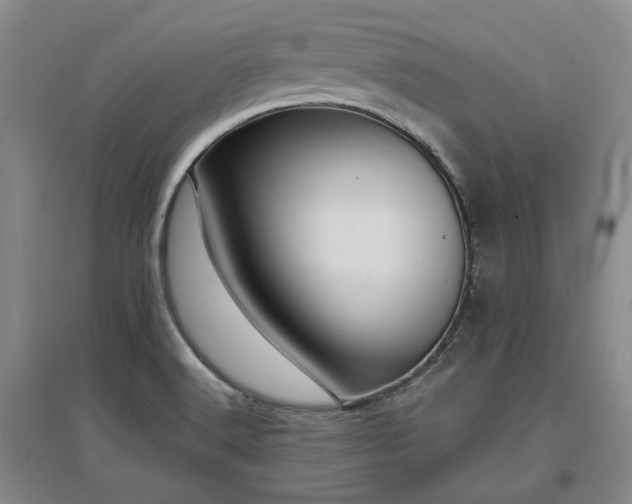 X0000097491516200802221403