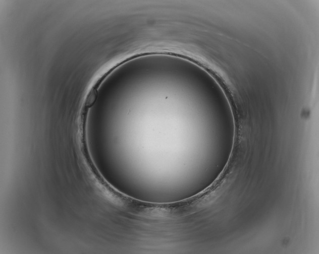 X0000097491517200802221403