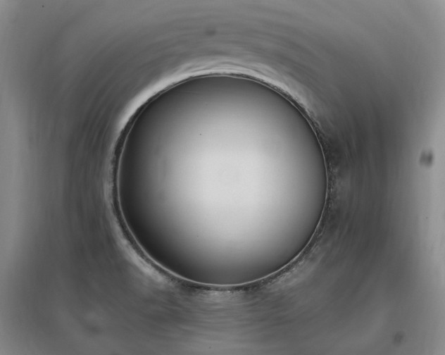 X0000097491518200802221403