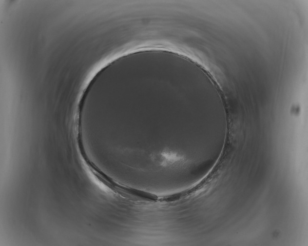 X0000097491519200802221403