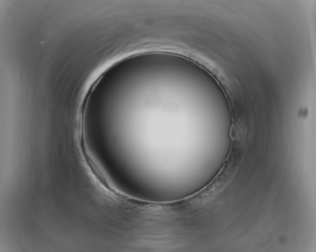 X0000097491520200802221403