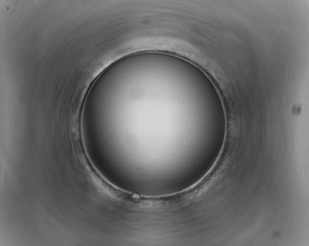 X0000097491521200802221403