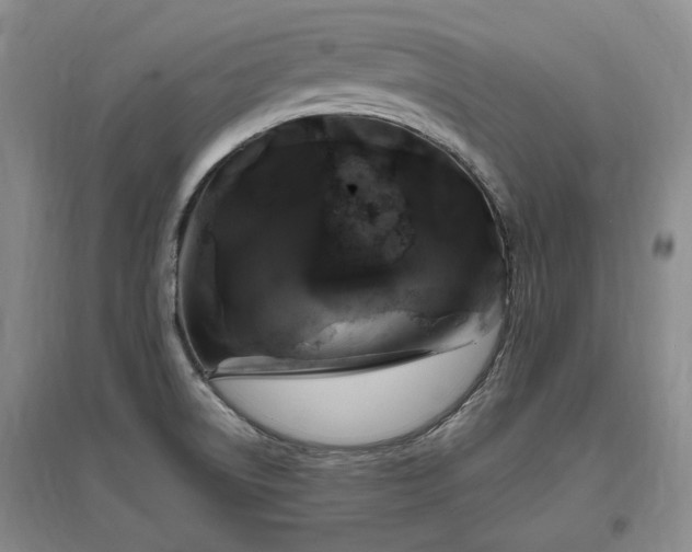 X0000097491522200802221403