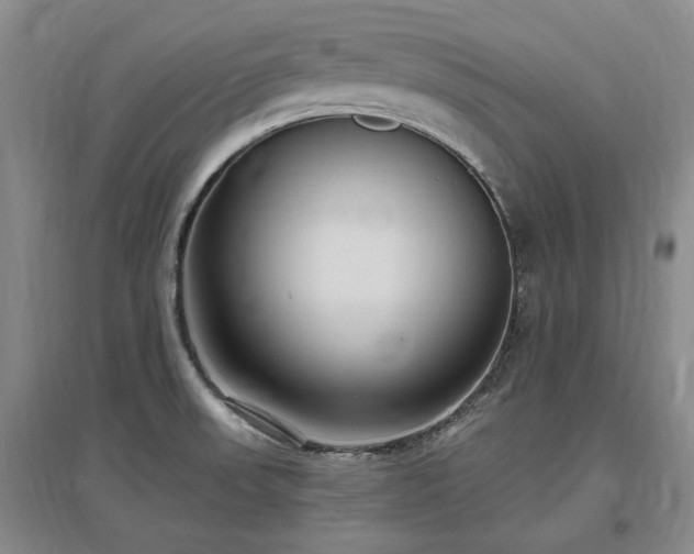 X0000097491523200802221403