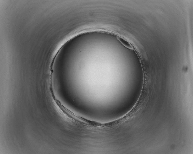 X0000097491524200802221403