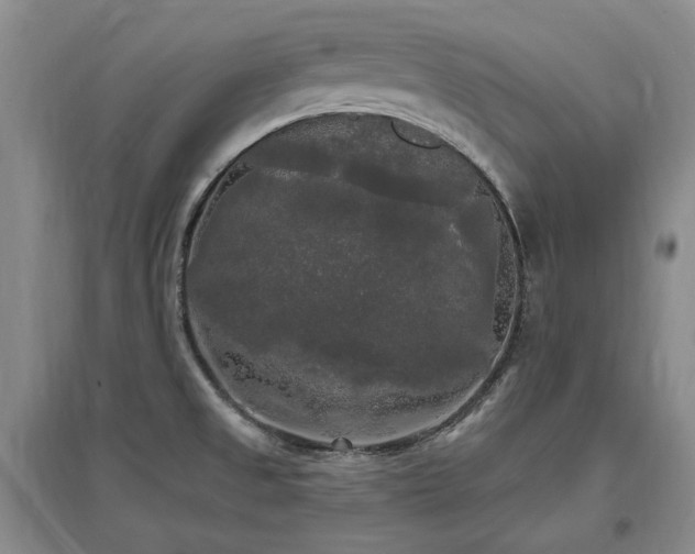 X0000097491525200802221403