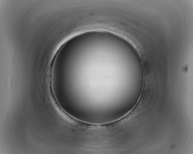 X0000097491526200802221403