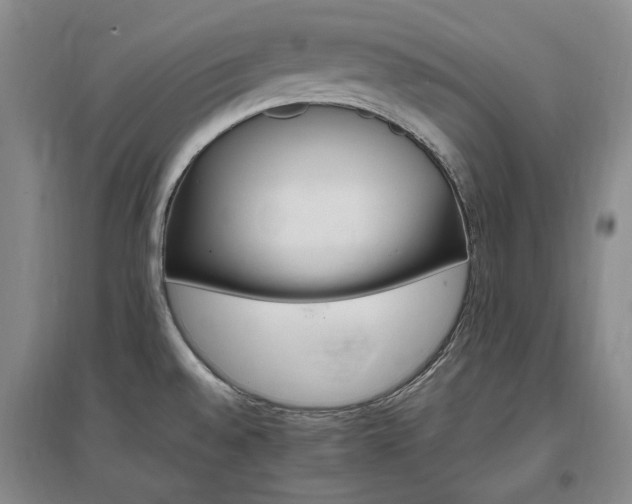 X0000097491528200802221403