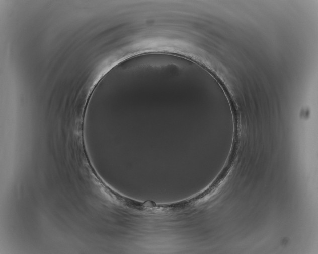 X0000097491529200802221403