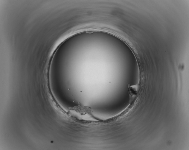 X0000097491530200802221403