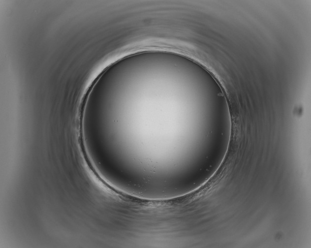 X0000097491531200802221403