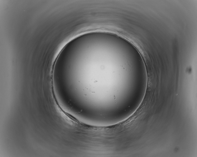 X0000097491532200802221403