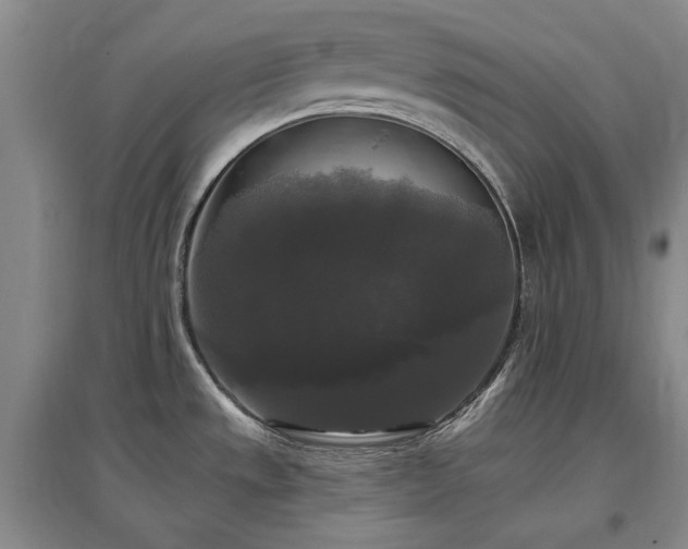 X0000097491533200802221403
