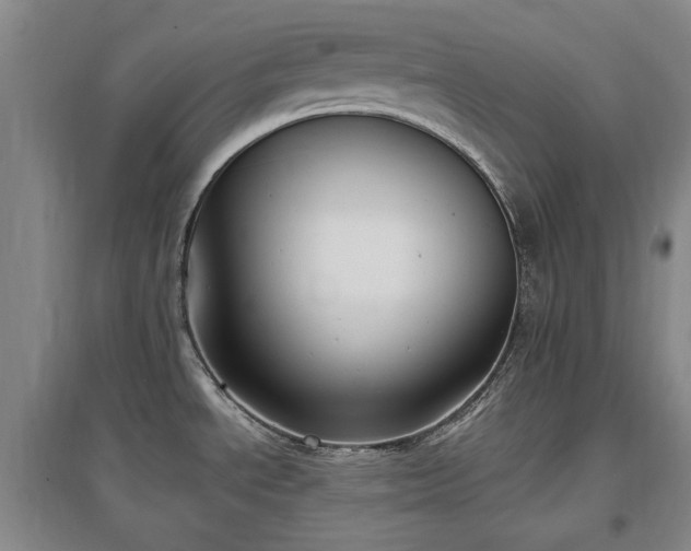 X0000097491534200802221403
