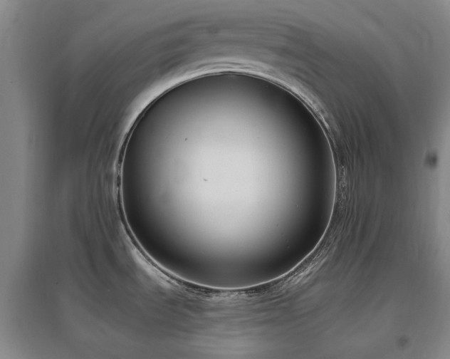 X0000097491535200802221403