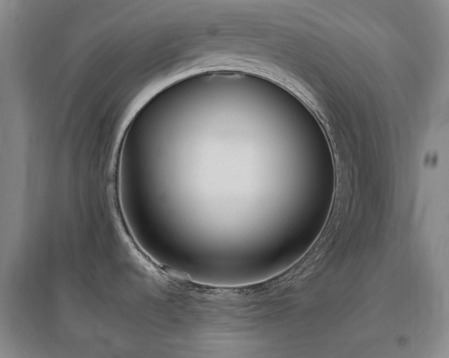 X0000097491536200802221403