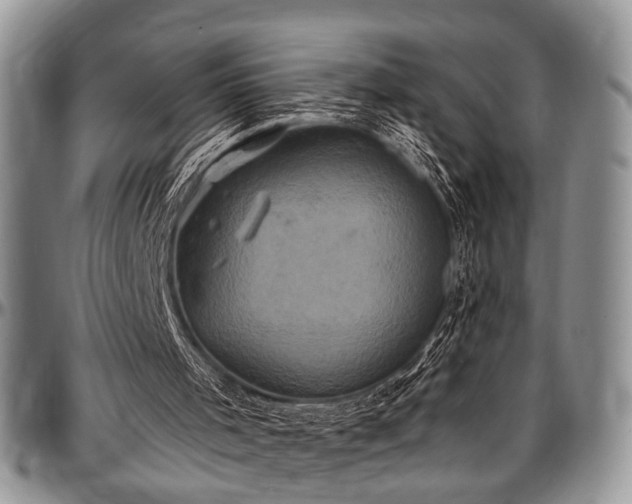 X0000097490001200802291444