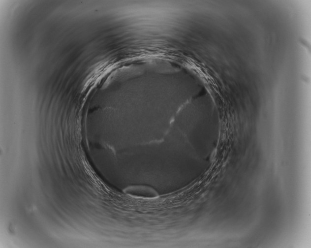 X0000097490002200802291444