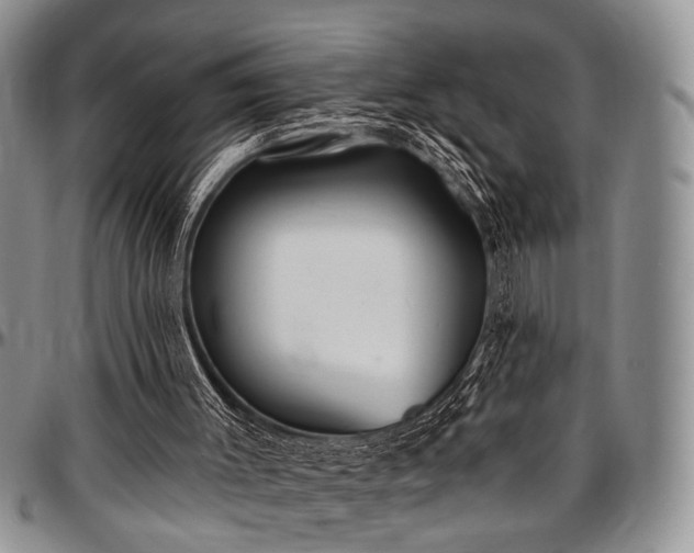 X0000097490003200802291443