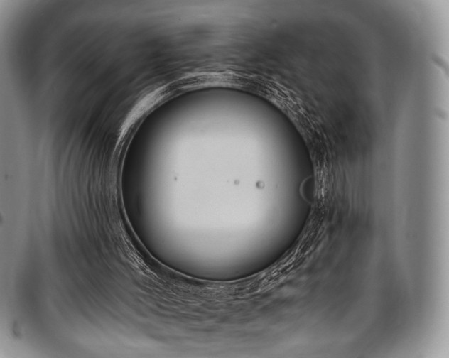 X0000097490004200802291443