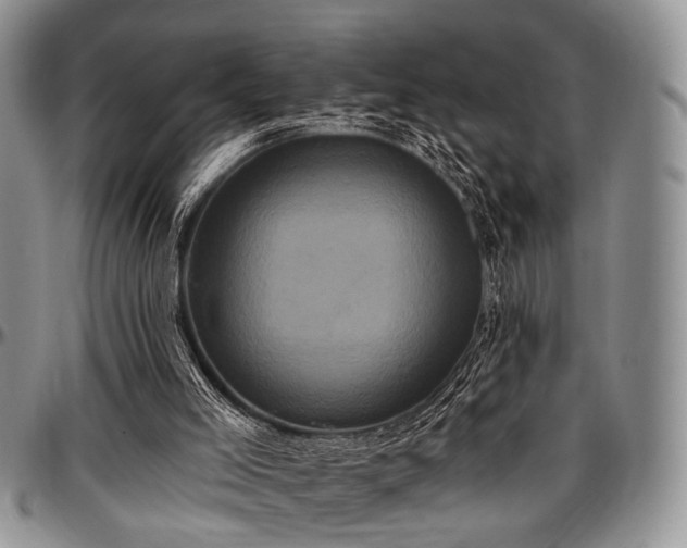 X0000097490005200802291443