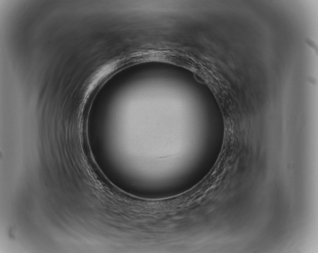 X0000097490006200802291443