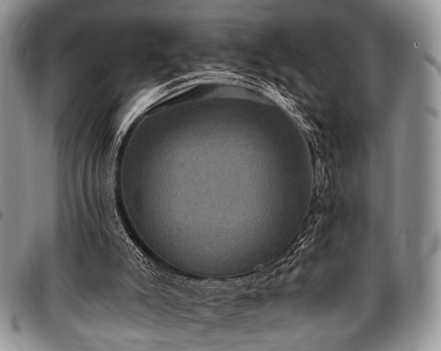 X0000097490007200802291443