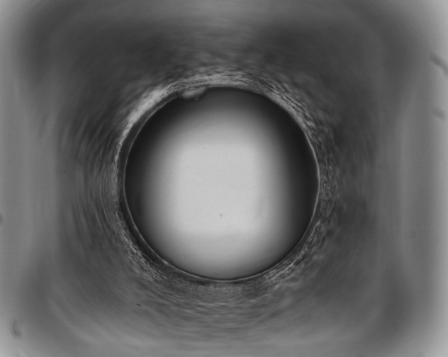 X0000097490008200802291443