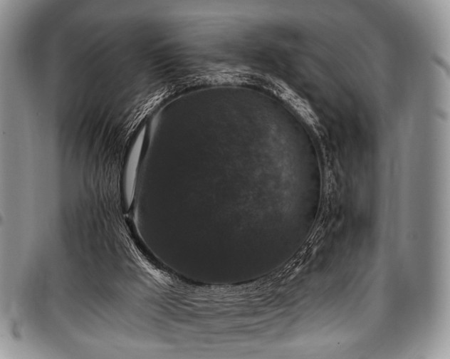 X0000097490009200802291443