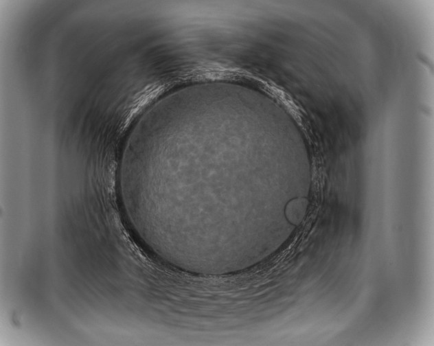 X0000097490010200802291443