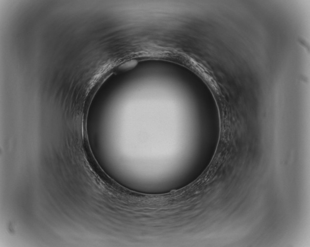 X0000097490011200802291443