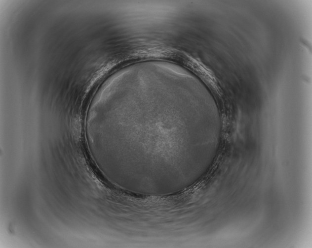 X0000097490012200802291443