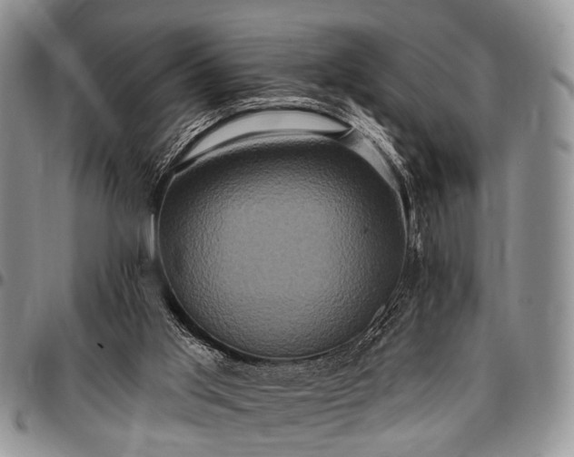 X0000097490013200802291443