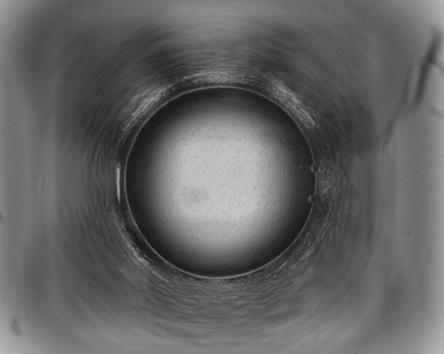 X0000097490014200802291443