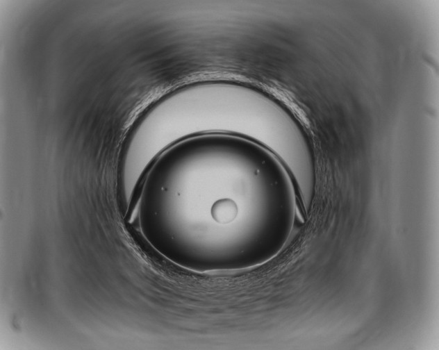 X0000097490015200802291443