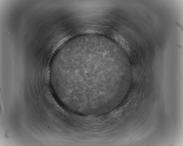 X0000097490016200802291443