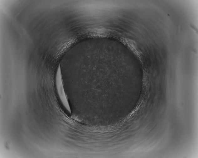 X0000097490017200802291443